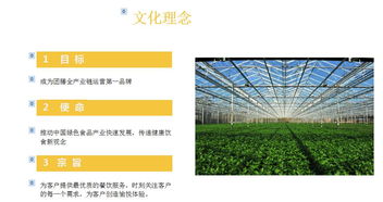 普菲斯 食堂托管与餐饮管理的行业领军者